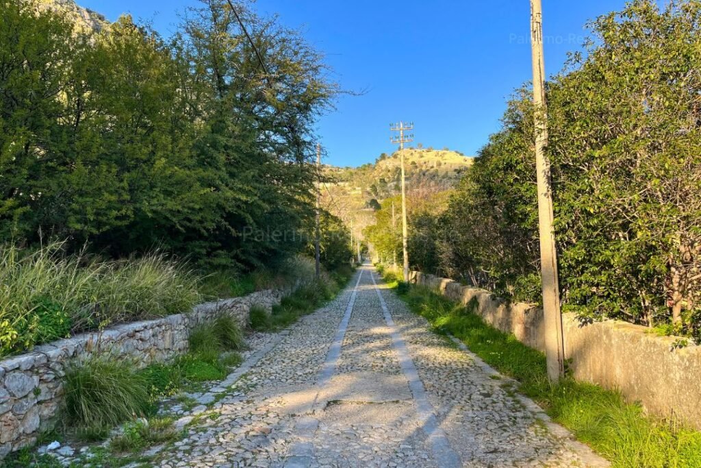 Von Büschen gesäumter Wanderweg zum Monte Pellegrino